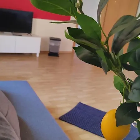 Im Herzen Von Homestay